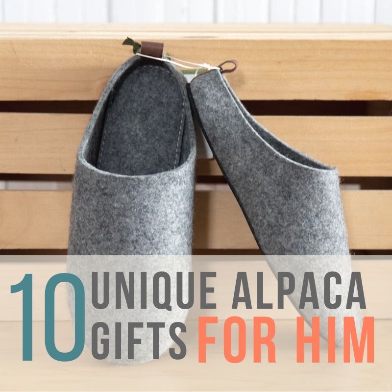 10 Unique Alpaca Gifts Ideas for Him