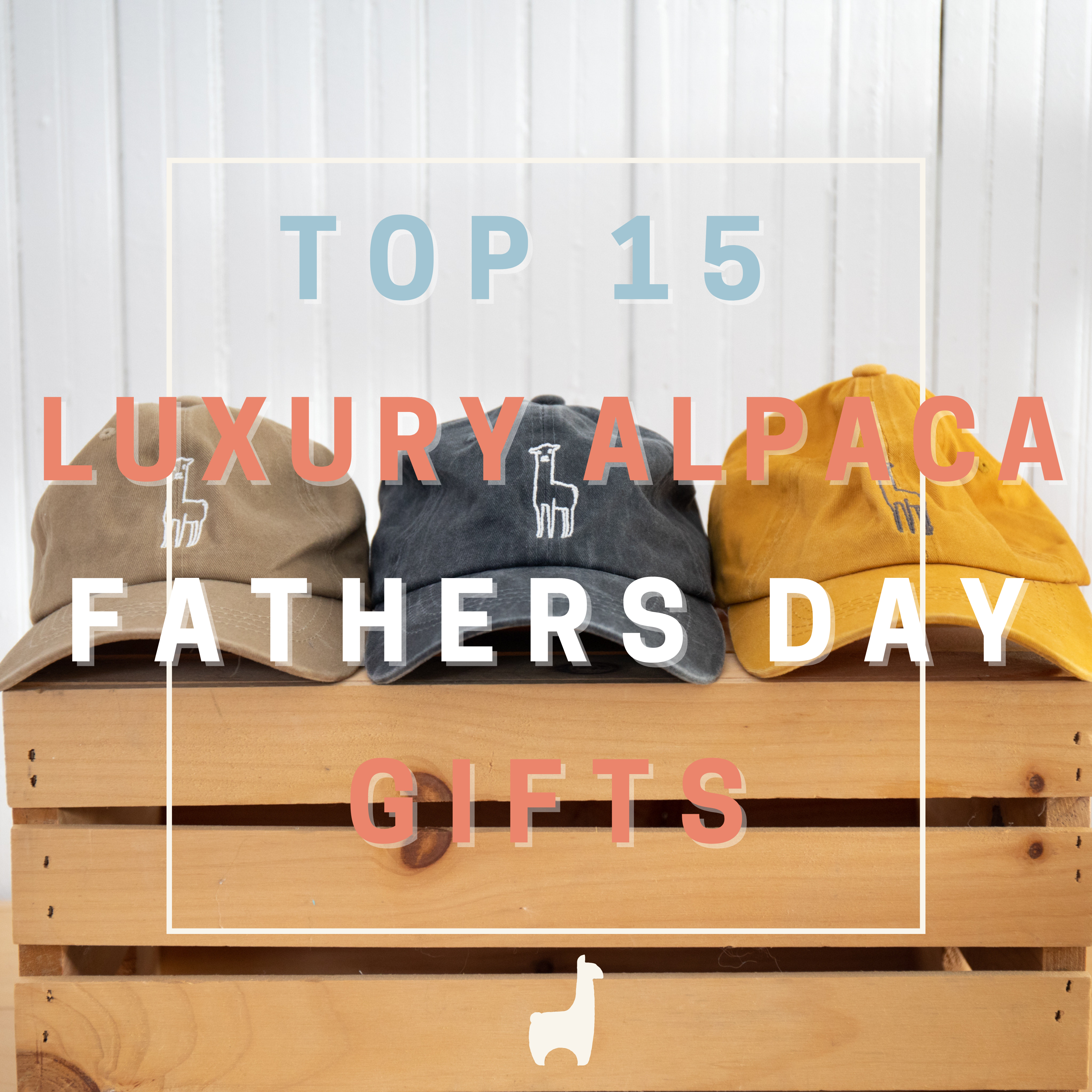 Top 15 Sustainable Luxury Alpaca Gifts for Father's Day
