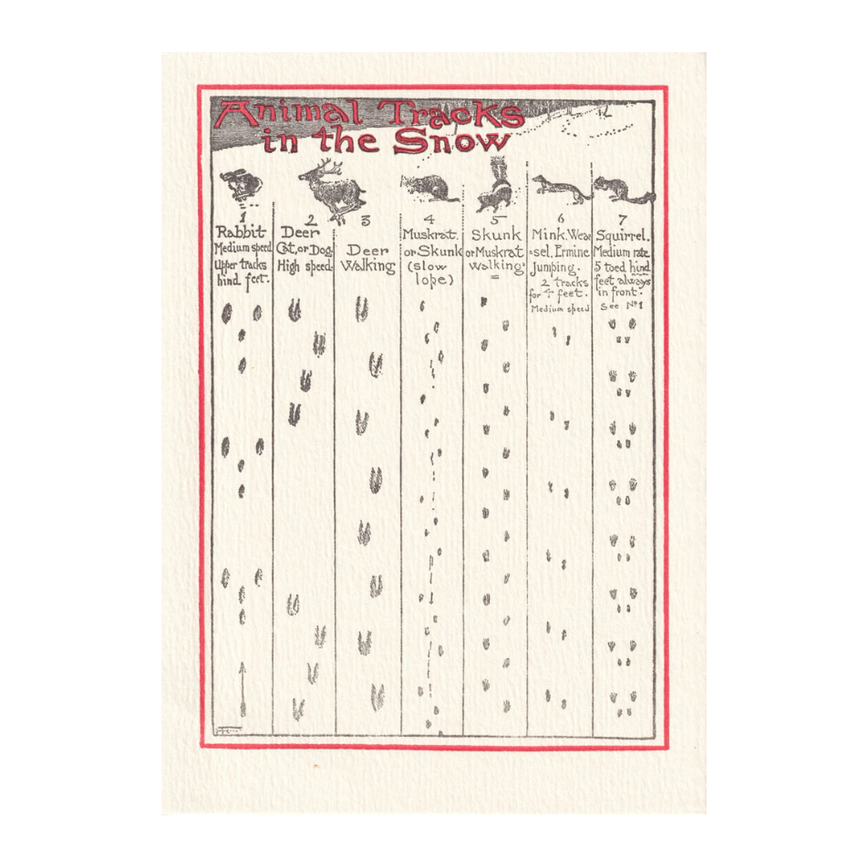 'Animal Tracks' Card