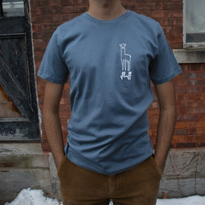 Fluff Alpaca Adult T-Shirts, man wearing blue tshirt with an alpaca on it