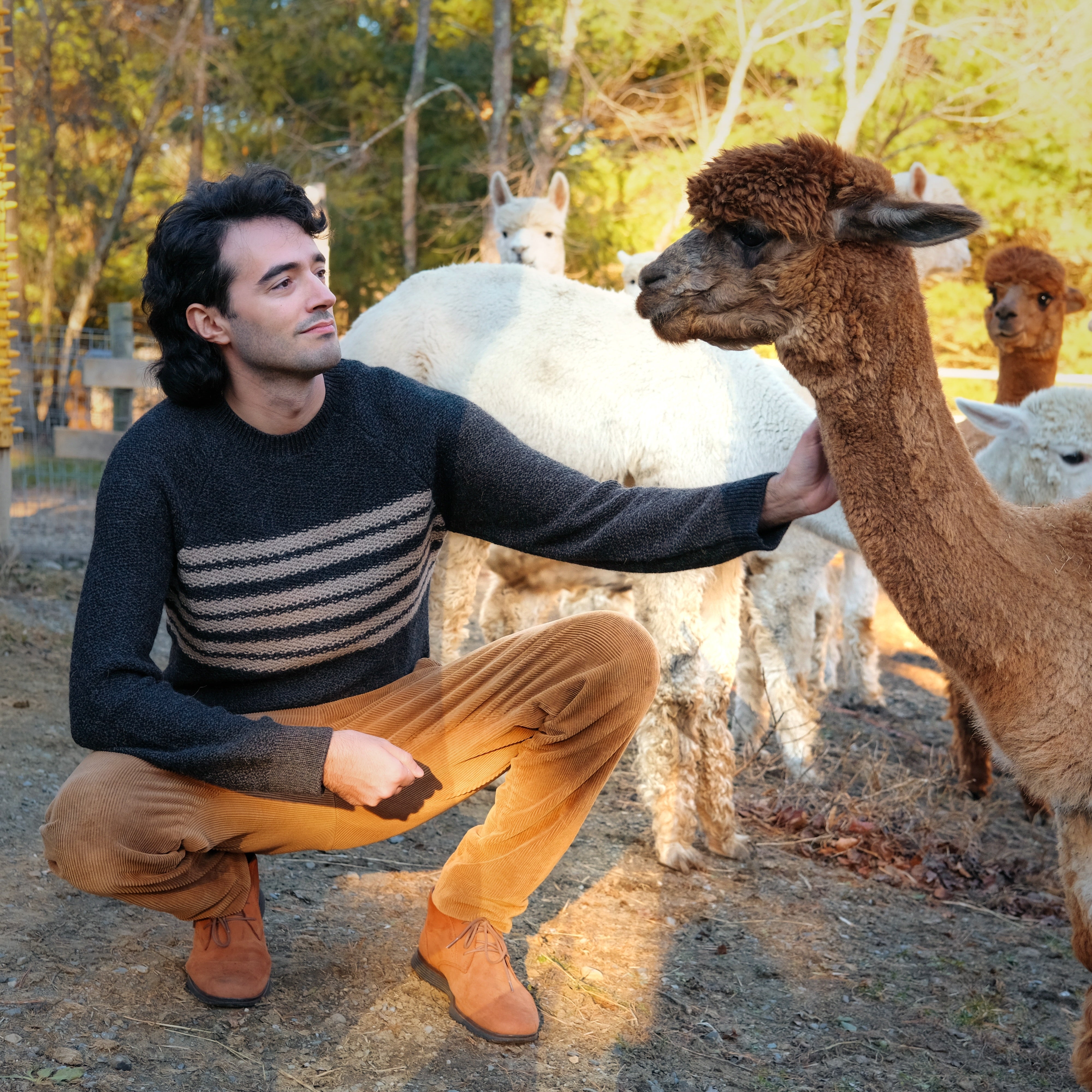 Men's Overlook Striped Raglan Baby Alpaca Crewneck