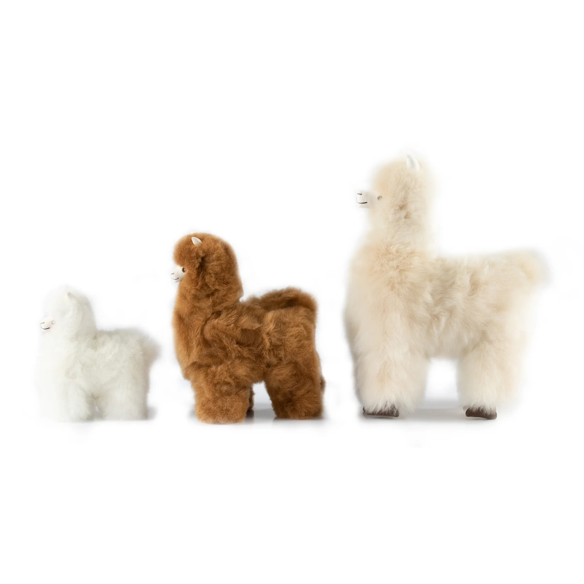 Three fluffy alpaca plush toys in white, medium brown, and fawn, arranged side by side on a plain white background.