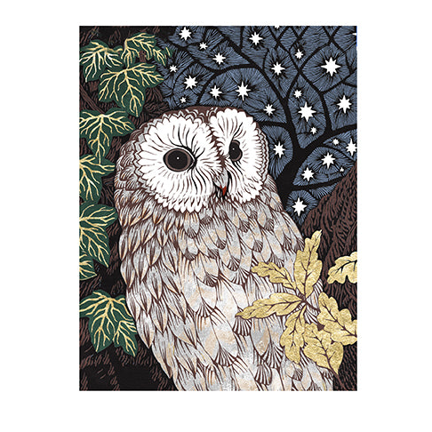 owl in the woods