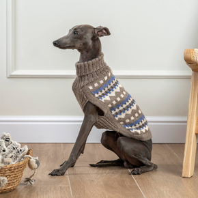 Dog wearing geometric patterned beige and blue dog sweater
