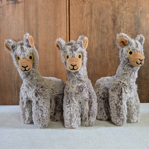 Plush Paca