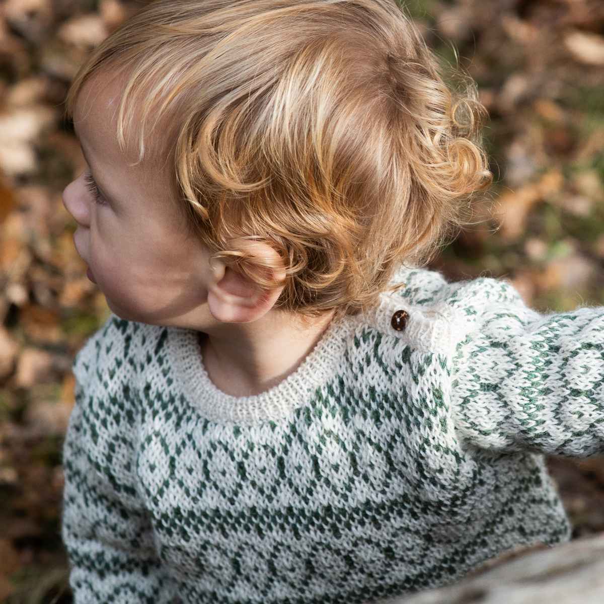 A close-up side profile of a young child wearing a green and off-white patterned knit sweater outdoors on a leaf-covered ground.