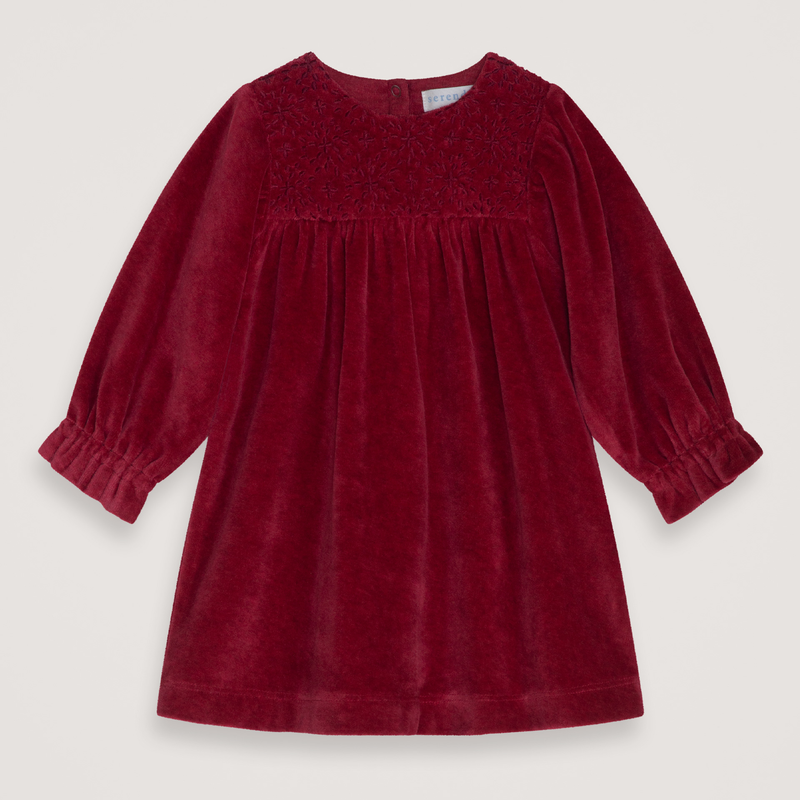 Serendipity Babies Celebration Dress