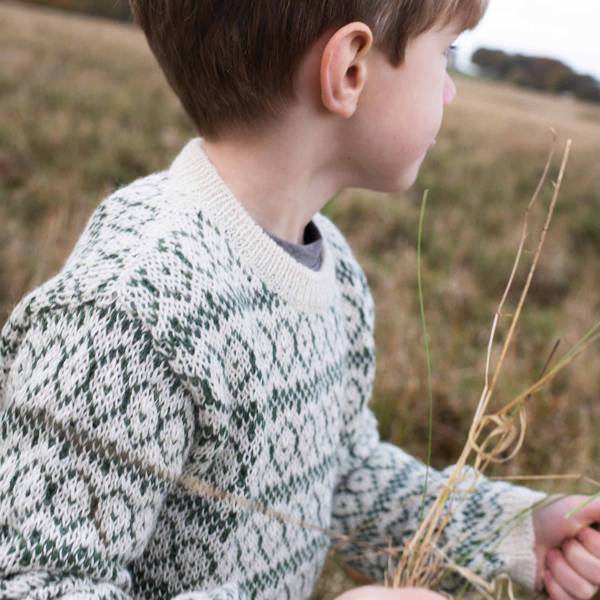 A child wearing a cream and dark green patterned knit sweater, standing outdoors in a grassy field and holding dry grass.