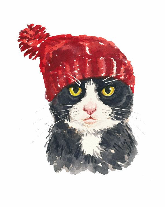 'Winter Tuxedo' Card