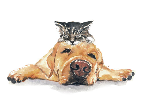 'Perfect Pillow' Card