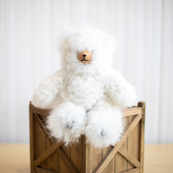 Fluffy teddy 2025 bear