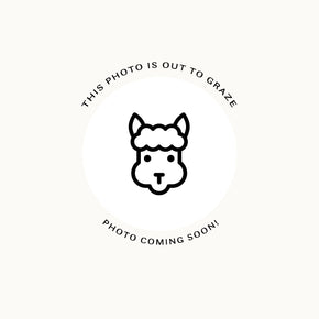 Fuzzy Sheep Ornament