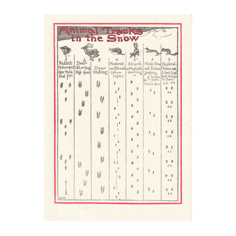 'Animal Tracks' Card