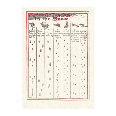 'Animal Tracks' Card