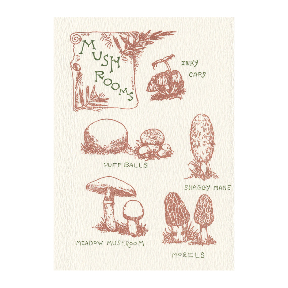 'Mushroom Guide' Card