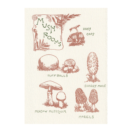 'Mushroom Guide' Card