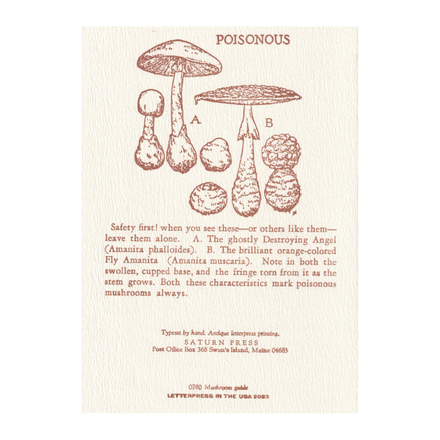 'Mushroom Guide' Card