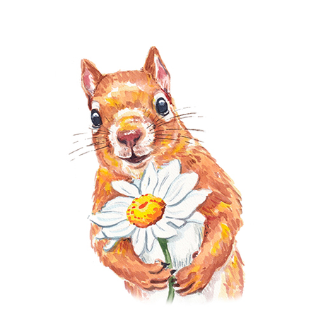 squirrel holding a daisy