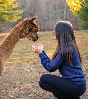 Fluff Women's Overlook Raglan Baby Alpaca Crewneck