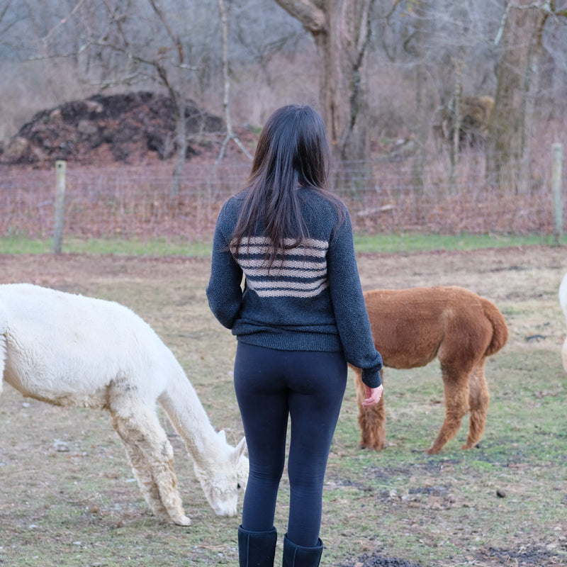 Fluff Women's Overlook Striped Raglan Baby Alpaca Crewneck