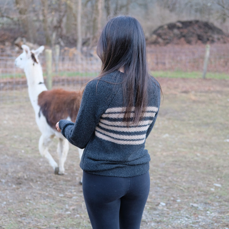 Fluff Women's Overlook Striped Raglan Baby Alpaca Crewneck