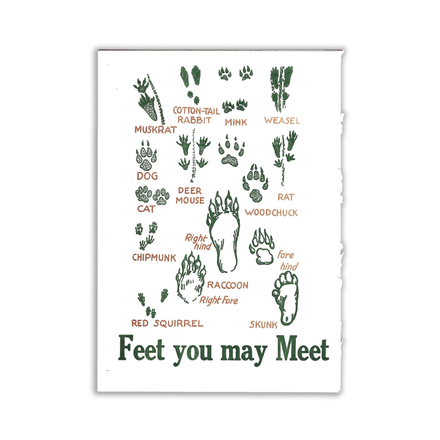 'Feet You May Meet' Card