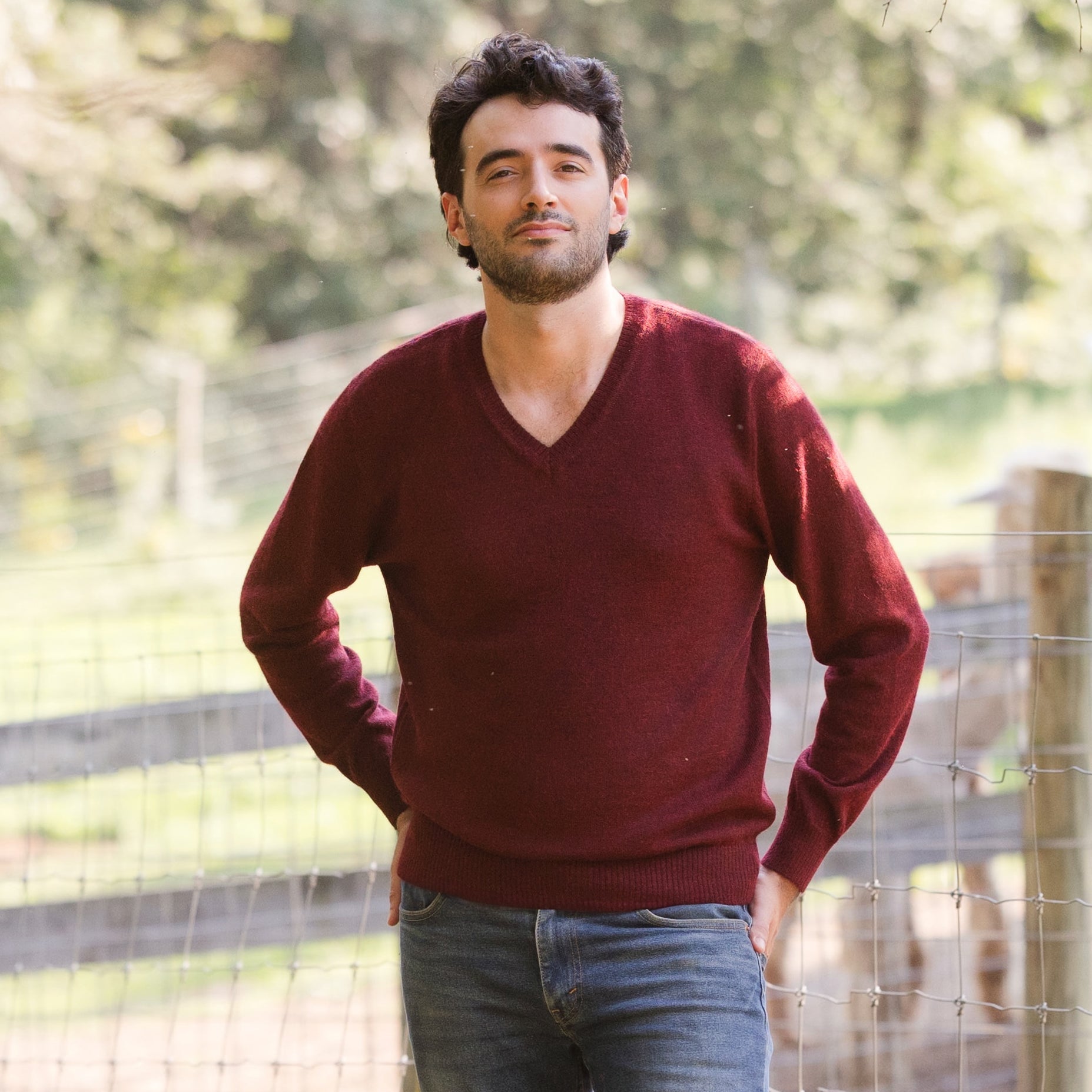 トップス Baby Alpaca Mix Deep V Neck PO Classic_V-Neck_Peacock.png?v=