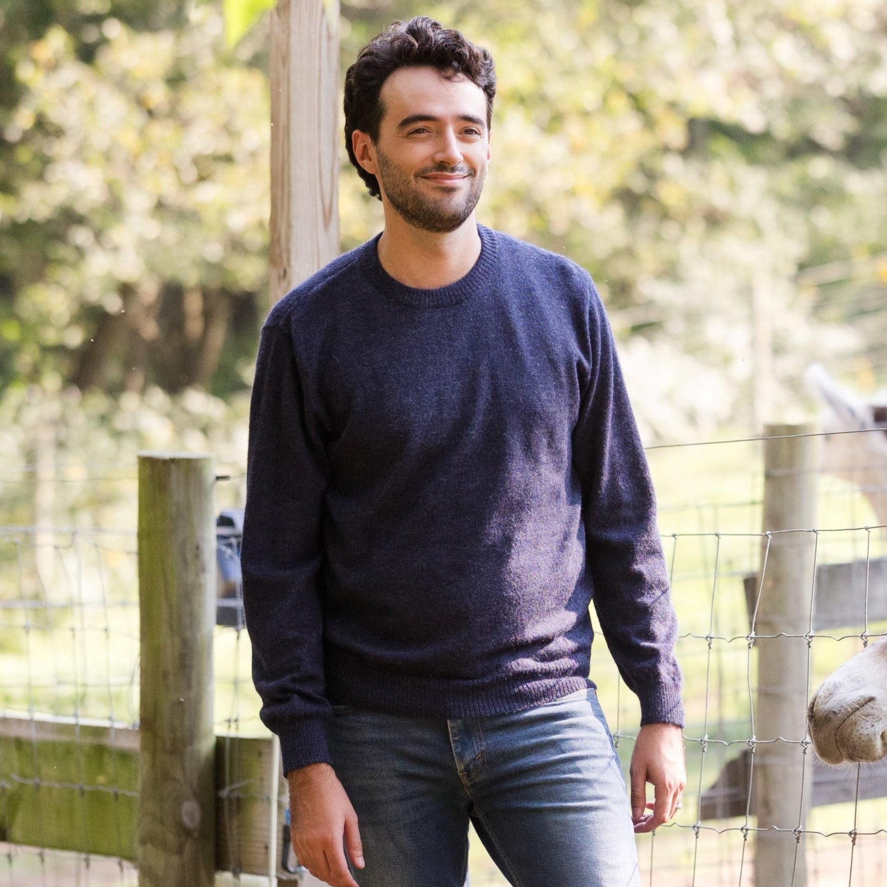 Men's Classic Crewneck 100% Baby Alpaca Sweater | Fluff Alpaca