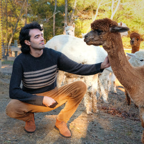Fluff Overlook Striped Raglan Baby Alpaca Crewneck
