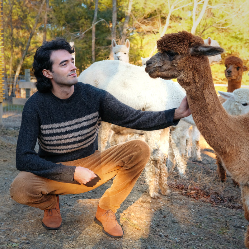 Fluff Overlook Striped Raglan Baby Alpaca Crewneck