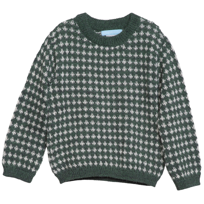 Serendipity Kid's Pattern Sweater - green and white patterned sweater on a neutral background
