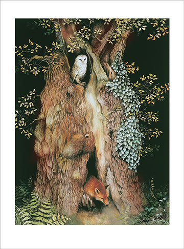 'The Acorn's Story' Card