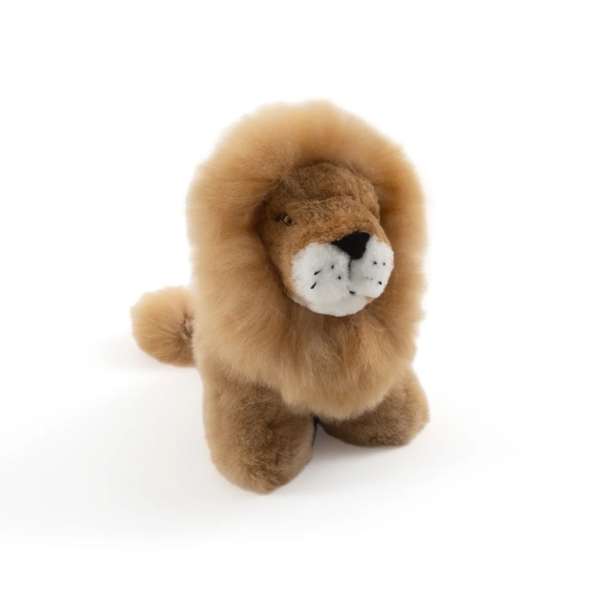 Stuffed lion toy on a white background