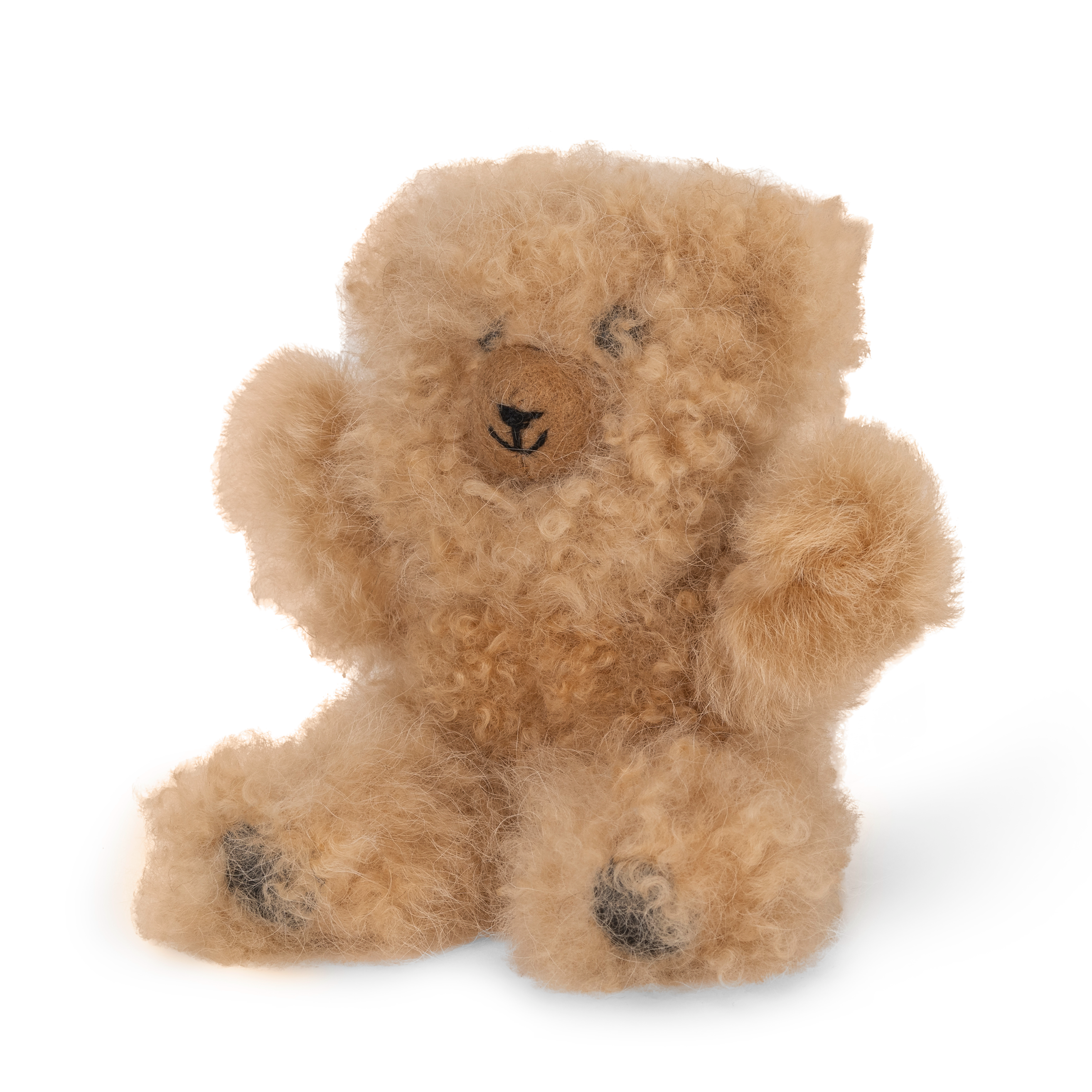Brown teddy bear on a white background