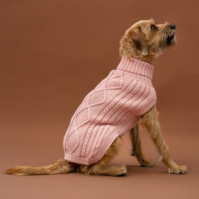 Dog wearing a pink knitted sweater on a brown background