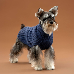 Dog wearing a blue sweater on a brown background