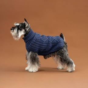 Dog wearing a blue knitted sweater on a brown background