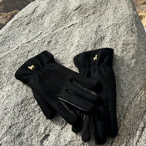 Black gloves on a rock with a mountainous background