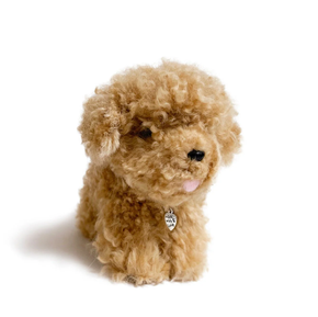 Plush toy dog with a tag on a white background