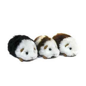 Three plush toy guinea pigs on a white background