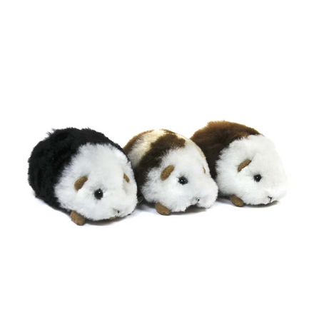 Three plush toy guinea pigs on a white background