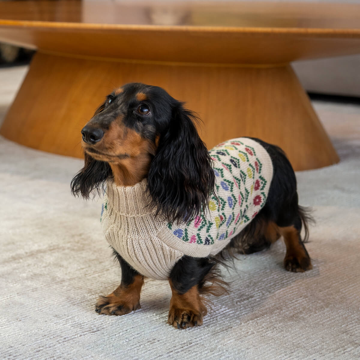 Flower Alpaca Dog Sweater