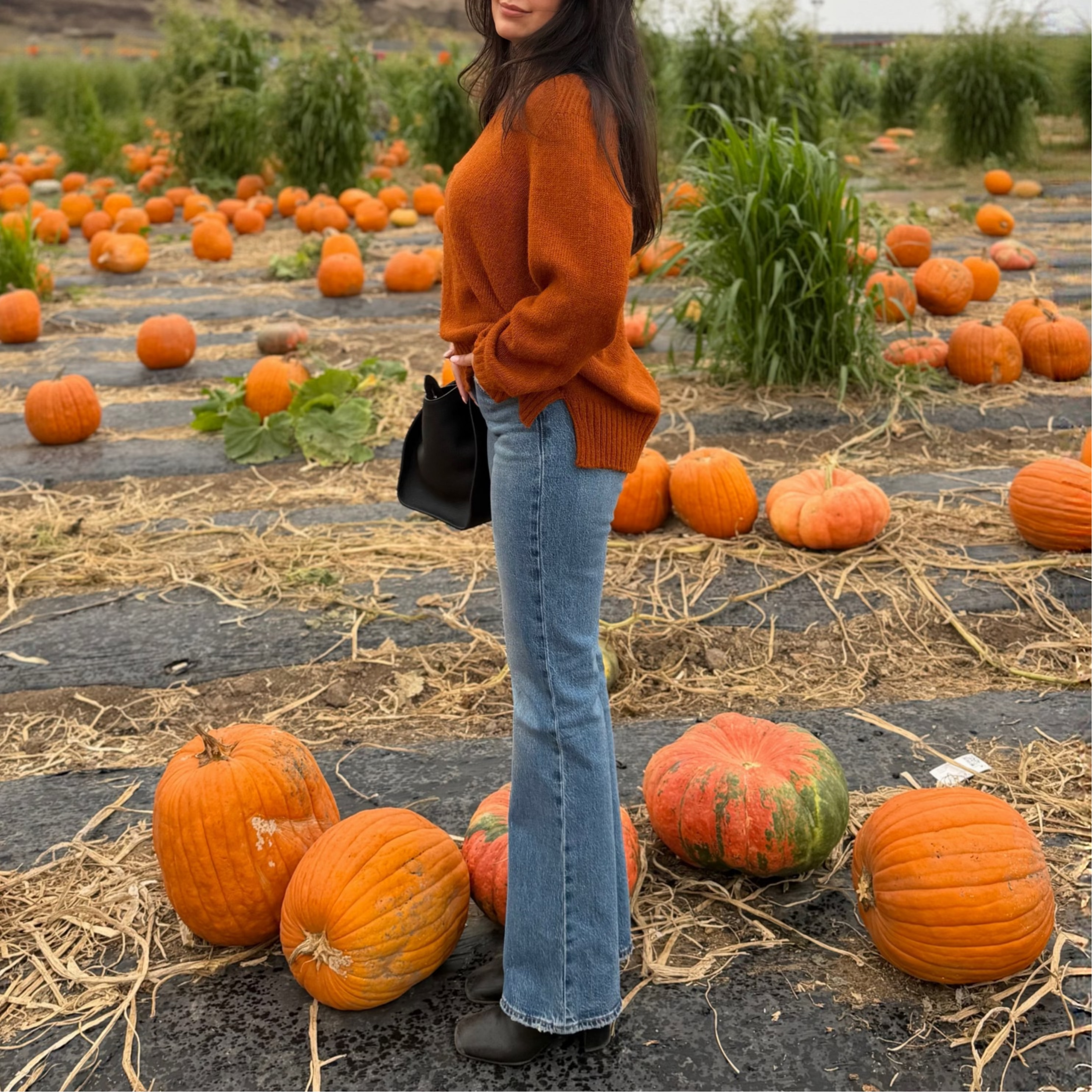 Fluff Monterey Alpaca V-Neck Sweater