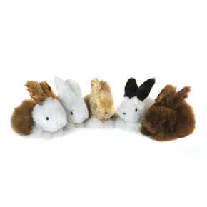 Five small plush bunny toys on a white background