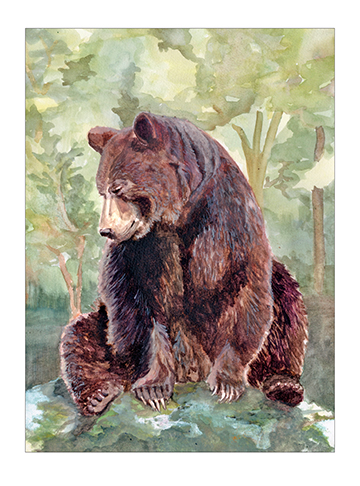 'Gravity Bear' Card