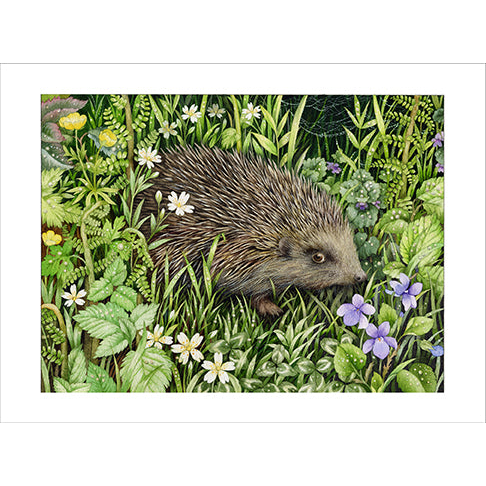 hedgehog in greenery, flowers