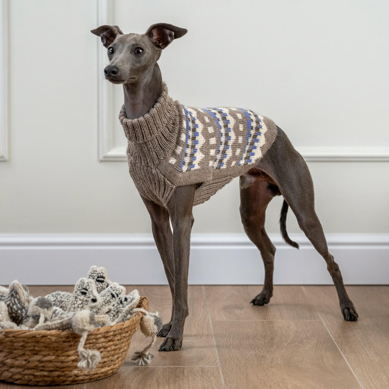 Dog wearing geometric patterned beige and blue dog sweater