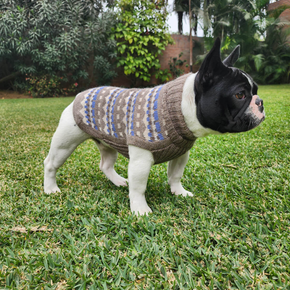 Dog wearing geometric patterned beige and blue dog sweater