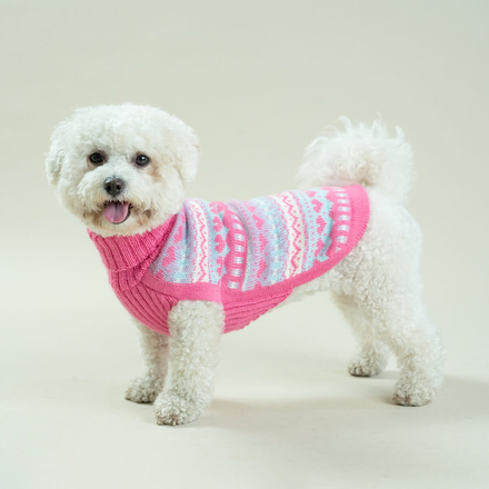 Dog wearing pink geometric knit sweater on white background