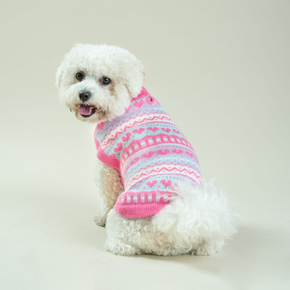 Dog wearing pink geometric knit dog sweater on white background